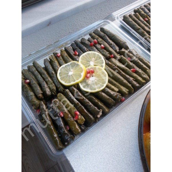 Zeytinyağlı sarma
