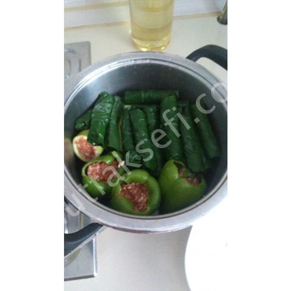 Dolma