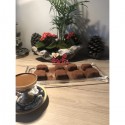Japon usulü trufflle adeti 5 tl