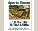 ZEYTİNYAĞLI ORJİNAL TOKAT YAPRAK SARMA