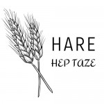 Hare hep taze